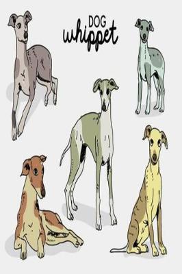 Book cover for Dog Whippet