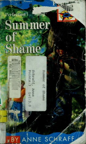 Book cover for Summer of Shame