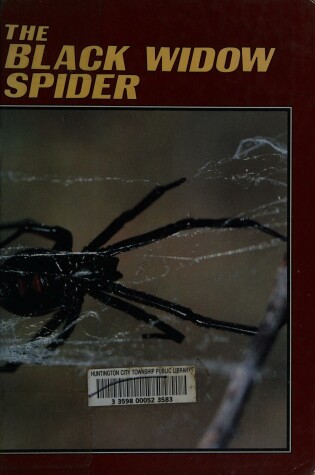 Cover of Black Widow Spider