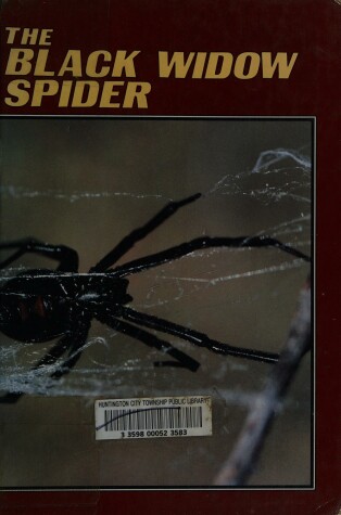 Book cover for Black Widow Spider