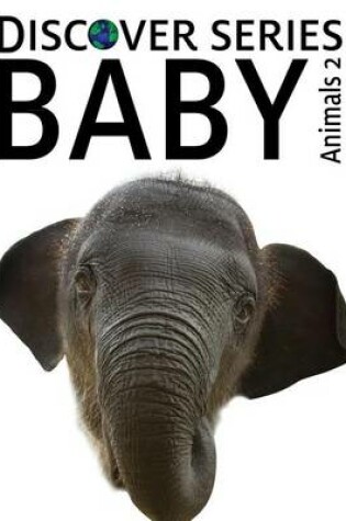 Cover of Baby Animals 2