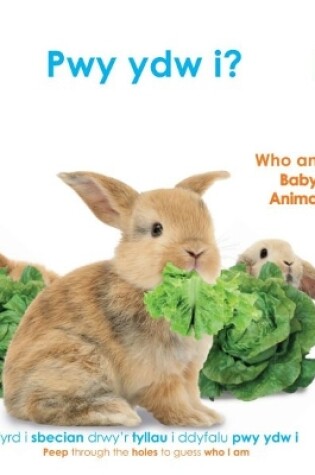 Cover of Pwy Ydw i? Anifeiliaid Bach / Who Am I? Baby Animals