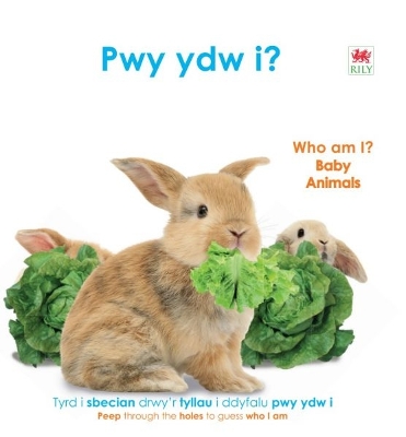 Book cover for Pwy Ydw i? Anifeiliaid Bach / Who Am I? Baby Animals