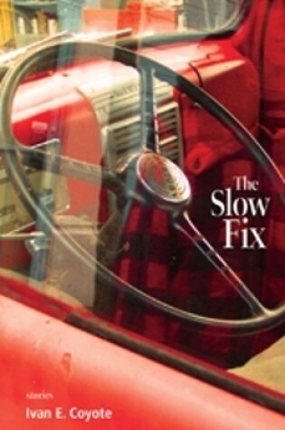 Cover of The Slow Fix