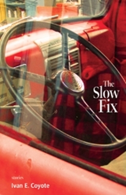 Book cover for The Slow Fix