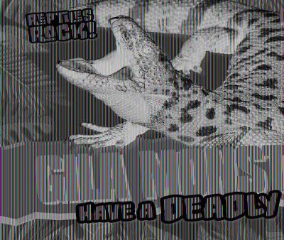 Cover of Gila Monsters Have a Deadly Bite!