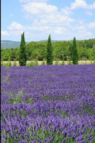 Cover of Beautiful Lavender Fields and Cypress Trees Journal