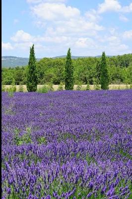 Cover of Beautiful Lavender Fields and Cypress Trees Journal