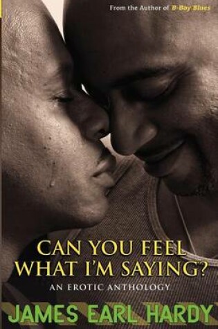 Cover of Can You Feel What I'm Saying?