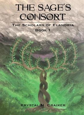 Book cover for The Sage's Consort