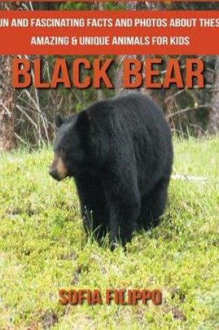 Cover of Black Bear