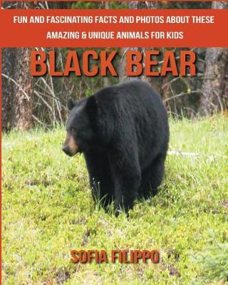 Book cover for Black Bear