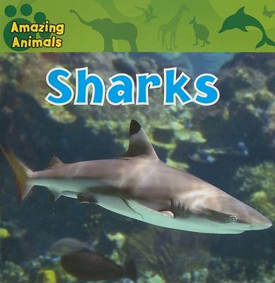 Book cover for Sharks