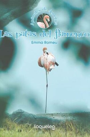 Cover of Las Patas del Flamenco