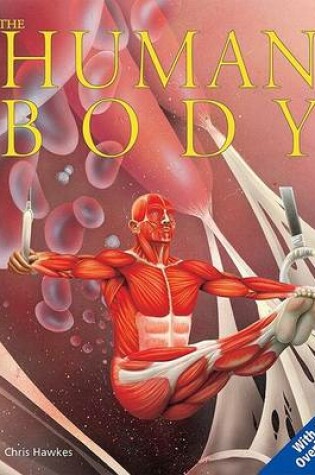 Cover of The Human Body