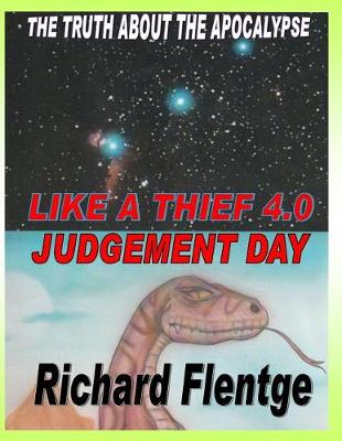 Book cover for Like a Thief 4.0