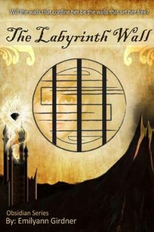 Cover of The Labyrinth Wall