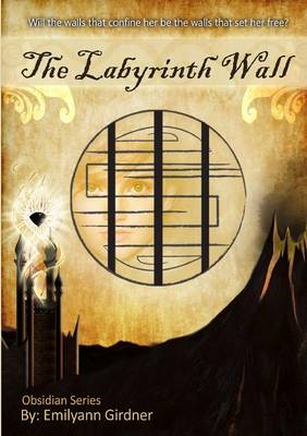 Book cover for The Labyrinth Wall