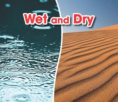 Book cover for Wet and Dry