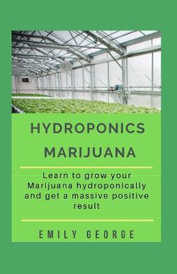 Book cover for Hydroponics Marijuana