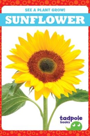 Cover of Sunflower