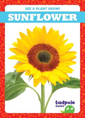 Cover of Sunflower