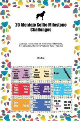 Cover of 20 Alentejo Selfie Milestone Challenges