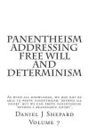 Book cover for Panentheism Addressing Free Will and Determinism