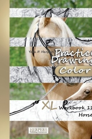 Cover of Practice Drawing [Color] - XL Workbook 11