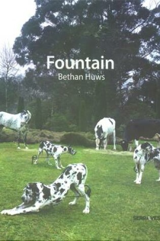 Cover of Bethan Huws
