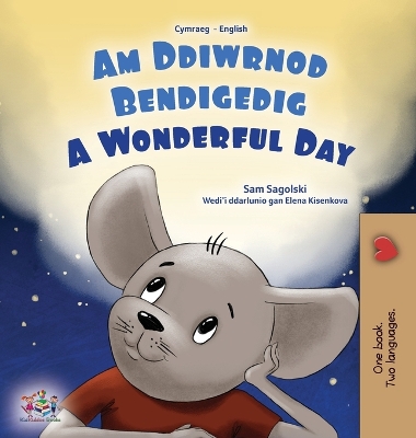 Book cover for A Wonderful Day (Welsh English Bilingual Children's Book)