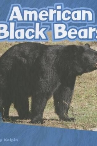 Cover of American Black Bears