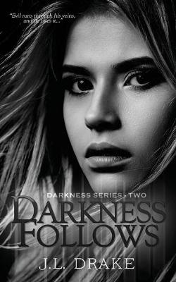 Book cover for Darkness Follows