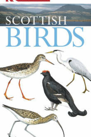 Cover of Scottish Birds