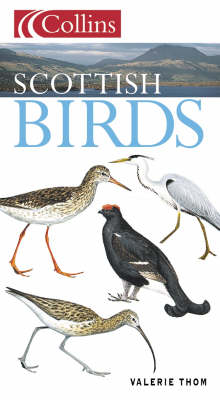 Cover of Scottish Birds