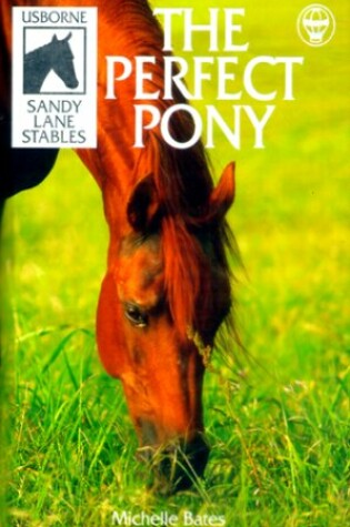 Cover of The Perfect Pony