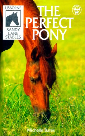 Book cover for The Perfect Pony