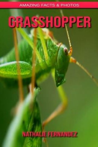 Cover of Grasshopper