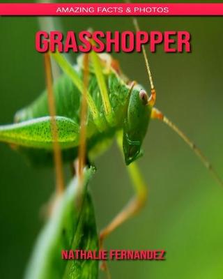 Cover of Grasshopper