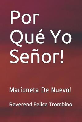 Book cover for Por Que Yo Senor!