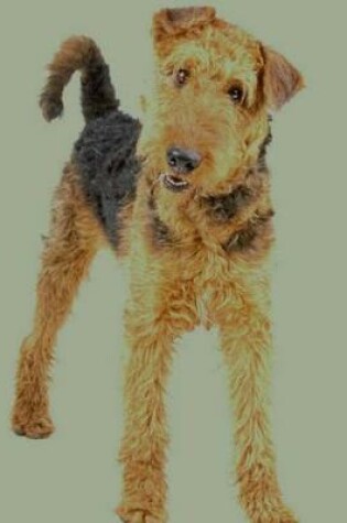 Cover of Airedale