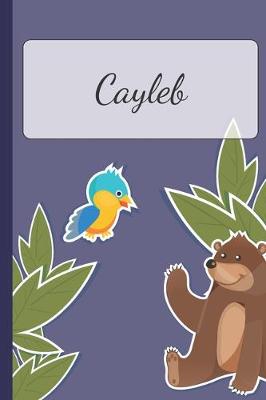 Book cover for Cayleb