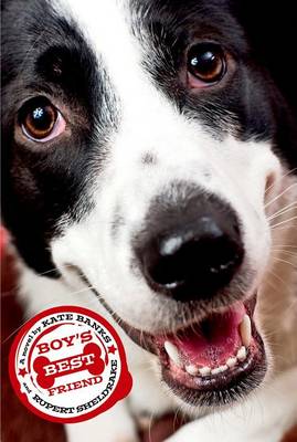 Book cover for Boy's Best Friend