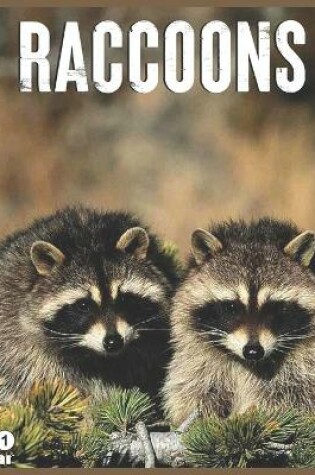 Cover of Raccoons 2021 Calendar