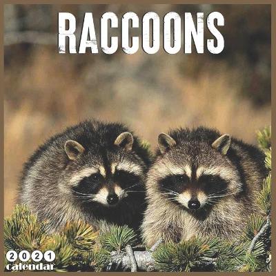 Book cover for Raccoons 2021 Calendar