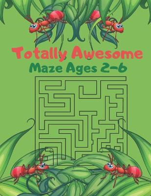 Book cover for Totally Awesome Maze Ages 2-6