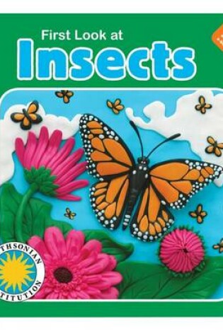 Cover of First Look at Insects
