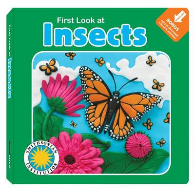 Book cover for First Look at Insects