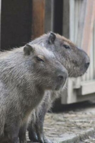 Cover of One Capybara Says to the Other, "Hey, Man, You Come Here Often?" Journal