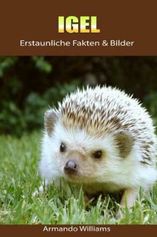 Cover of Igel